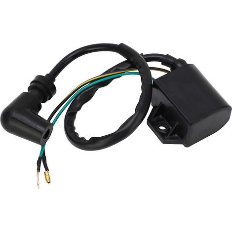 Bobine d'allumage pour moteur hors-bord 6H2 85570 00 00, résistante aux chocs et à l'humidité, compatible avec les moteurs 2 temps de 55, 60, 70, 75 et 90 CV. (1/5)