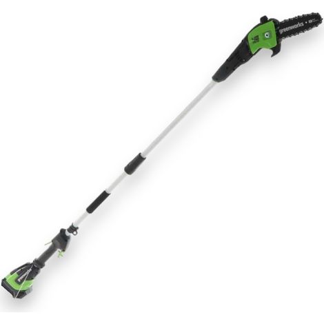 Sega potatrice taglia rami a batteria 48V con asta telescopica fino a 250 cm Greenworks G48PS (1/5)