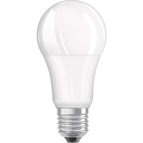 Lampadina LED E27 smerigliata standard, 13W, bianco freddo. (1/3)