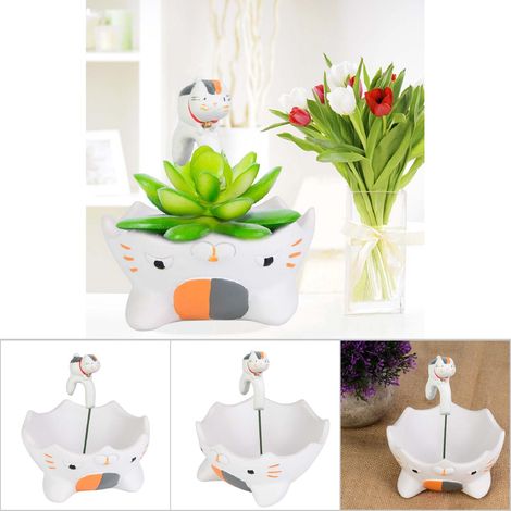 1 weißer Harzblumentopf für Sukkulenten (1/5)