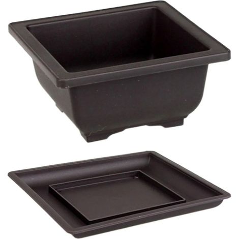 5 pots à orchidées transparents avec plateau XXX