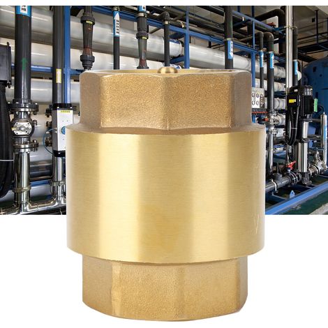 Clapet anti-retour unidirectionnel fileté en laiton haute précision pour eau, gaz et pétrole (G1'') (1/5)