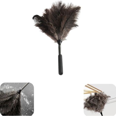 Brosse à poussière 40 x 13 cm - plumeau à manche réglable pour bureau, brun (1/5)