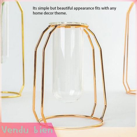 Garosa Vases pour plantes hydroponiques Transparent Hydroponic Plant Vases Flower Pot Tabletop Home jardin essence Or (1/4)