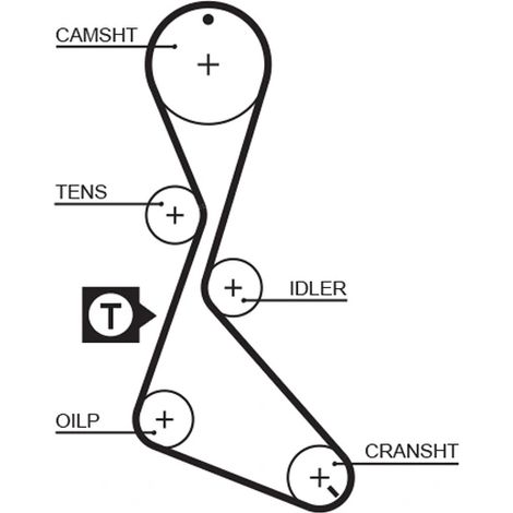 Courroie crantée Gates 5130XS RENAULT 3343720 33437203 7700725577 7700741506