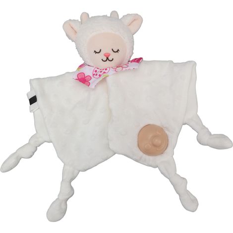 Kuscheldecke für Babys ab 3 Monaten, weiche Decke inklusive Schnuller. (1/5)