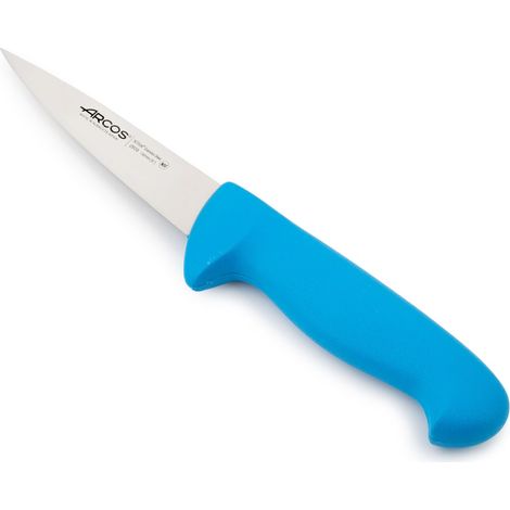 Coltello da macellaio Arcos Colore - Prof 292923 acciaio inox Nitrum e mango ergonomico blu Polipropilene e 13 Lama cm, coperchio espositivo