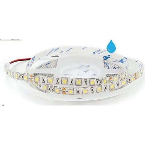Striscia Led Dimmerabile 4000k (1/2)