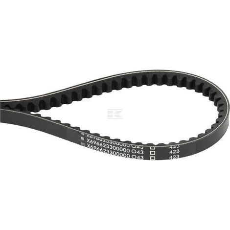 Courroie AGCO X696623300000
