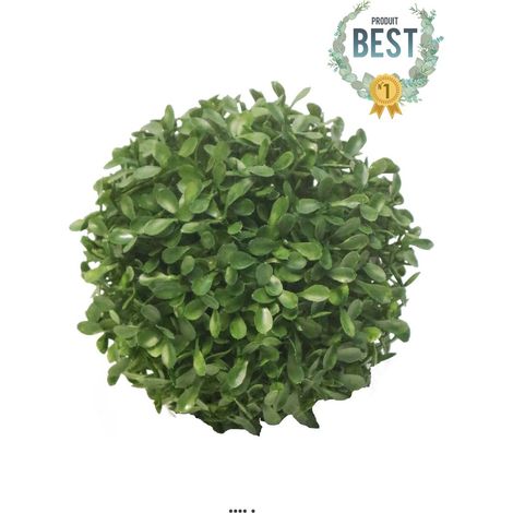 Boule de buis factice feuilles PE protection UV H 13 cm Vert - BEST - dimhaut: H 13 cm - couleur: Vert