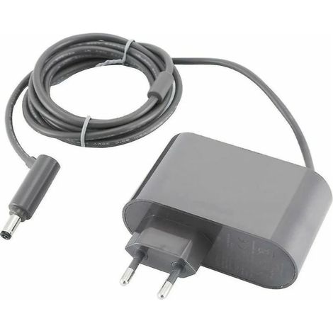 Chargeur pour Dyson V6 V7 V8 DC58 DC59 DC61 DC62 SV03 SV04 SV05 SV06 SV07 AC Aspirateur Adaptateur
