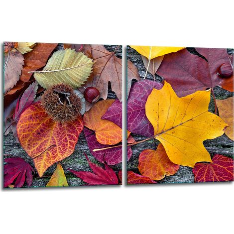2 plaques de protection en verre pour cuisinière 40x52 feuilles (1/5)