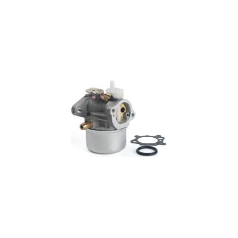 Carburateur de remplacement DOLASO pour moteur Briggs & Stratton 799869 792253 avec joint