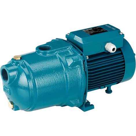 Mehrstufige Blockpumpe CALPEDA MGP204m 0,55kW 0,75Hp Einzelphase 230V MGPM