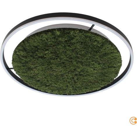 [GEBRAUCHT] B-Ware Just Light Deckenlampe Deckenleuchte Led Green Ritus Moos Dimmbar Schwarz Grün