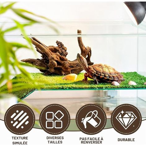 Racines en Bois pour Aquarium - Bois Flotté - 8–15 cm Bois d’Aquarium pour Aquascaping - Racine en Bois pour Aquarium d’Eau Douce, Reptiles (1/2)