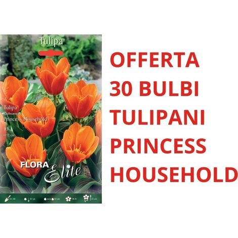 OFFERTA 30 BULBI DI TULIPANO KAUFMANNIANA PRINCESS HOUSEHOLD