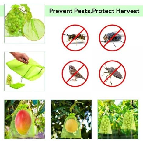60 sachets de protection pour fruits 30x40cm, sachets de protection pour raisins, sachets en organza de jardin (vert mousse) (1/2)