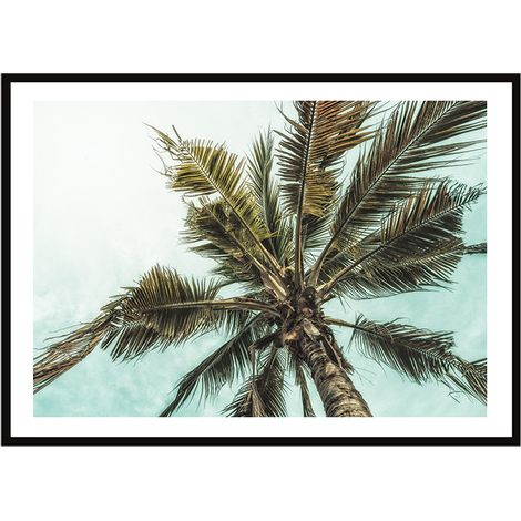 Bildplakat im Rahmen 33x43 cm Palm P2246 (1/3)