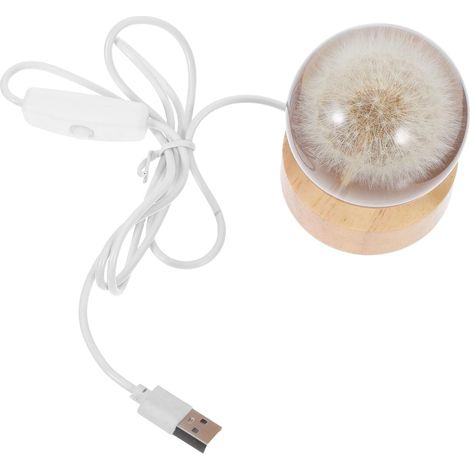 Veilleuse Boule Cristal avec Fleur Préservée Lumière LED (1/5)
