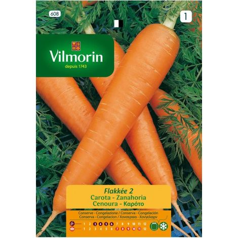VILMORIN Semillas de ZANAHORIA FLAKEE 2 S-1 608, 8 gr