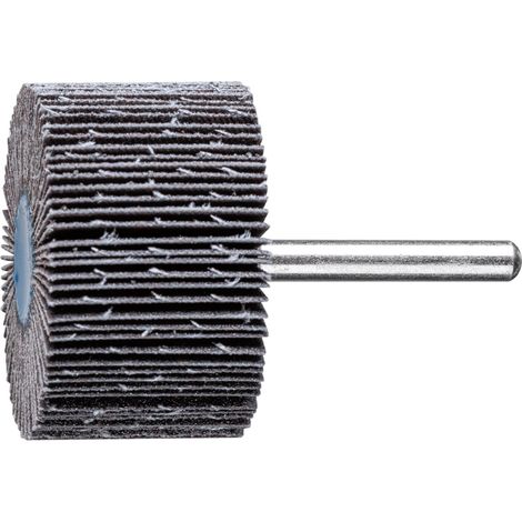 PFERD SIC Fächerschleifer F Ø 50x30mm Schaft-Ø 6 mm SIC120 für harte NE Metalle (1/5)