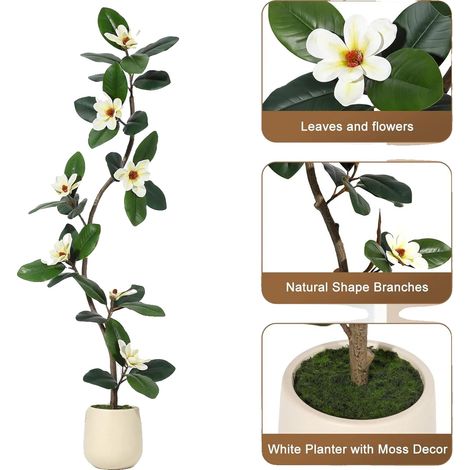 Pianta artificiale, fiori di magnolia realistici, vaso decorativo, 150 cm (1/2)