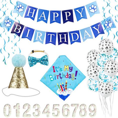 Fournitures pour fête d'anniversaire de chien : chapeau d'anniversaire pour animal de compagnie et bandana pour chien mâle