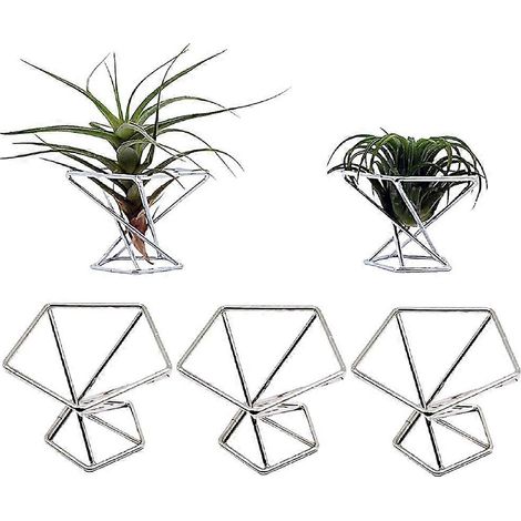 Lot de 5 supports pour plantes aériennes (Tillandsias), présentoir pour plantes dépolluantes, support pour fougères aériennes, argent (1/5)