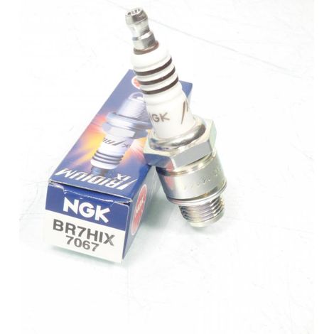 Zündkerze ngk für Roller benelli 50 491 gt lc nach 1999 neu