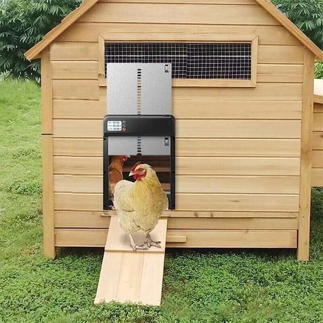 Porte automatique de poulailler avec minuterie en alliage d'aluminium IP45 affichage LED étanche ouvre-porte automatique de poulet alimenté par batterie pour la ferme