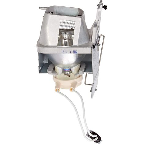 Lampe ampoule bulbe de remplacement avec boîtier Compatible avec DH1012 / EH341 / W316ST / W350 / W351 / X316ST / X351 Lamp Bulb BL-FP210A BL FP210A SP70201GC01 (1/5)