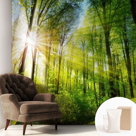 Papier peint intissé avec imprimé pour intérieur moderne application facile a motif - Colle incluse gratuite Lumière de la forêt 250x250 cm (1/5)