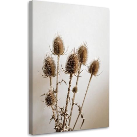 Wandbild Getrocknete Disteln Pflanzen in Beige 60x90 cm (1/5)
