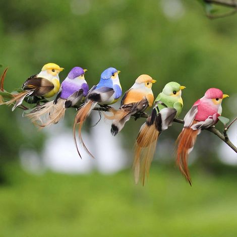 12 oiseaux artificiels miniatures pour le jardin, accessoires décoratifs magnifiques et durables, plumes colorées, aspect réaliste, pour la maison et les fêtes (FMY) (1/4)