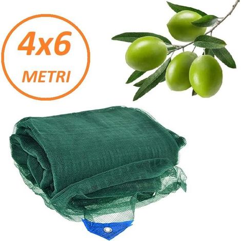 Rete per Olive Antispine mt. 4X6 (1/3)