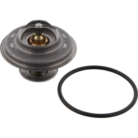 Febi 11444 Termostato