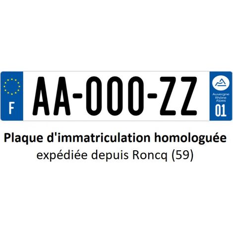 Plaque d'immatriculation homologuée en aluminium (1/2)