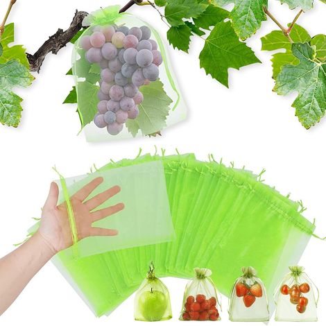 Soavoa Sac de Protection pour Raisins en Organza, 100 Pièces 15x10 cm avec Cordon, Filet Respirant Réutilisable contre Oiseaux et Insectes (1/5)