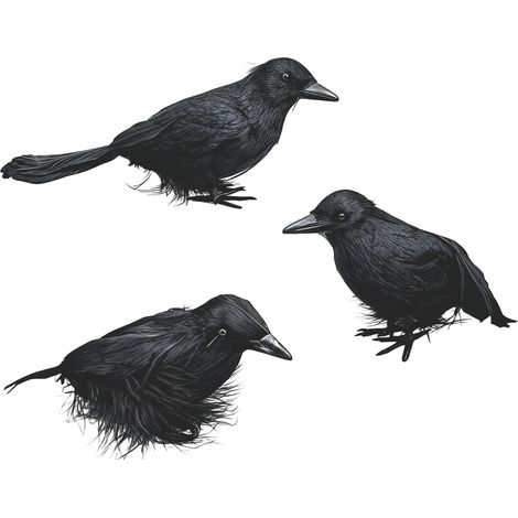 Cuervo Artificial - Espuma Resistente con Plumas Negras Realistas - Decoración para Fiesta de Halloween - Interior y Exterior - 3 Unidades (1/5)