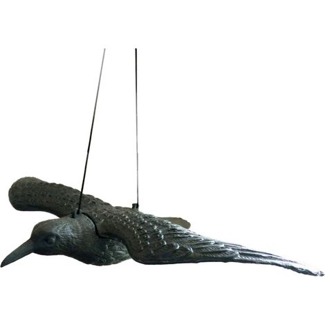 Statue da esterno, ornamenti raffiguranti corvi neri in volo.