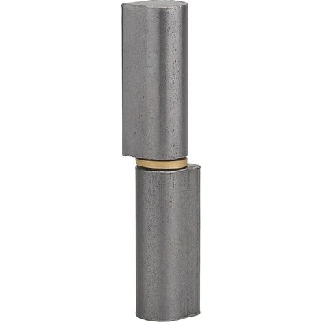 Cerniera da saldare per porta in metallo, acciaio INOX, 120mm, collare in ottone - THIRARD