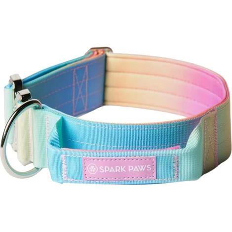 Collier tactique pour chien, collier de haute qualité (1/5)