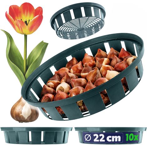 Filiyano-Panier KADAX pour la plantation de tulipes et de bulbes de fleurs, 18 cm, lot de 10. (1/5)
