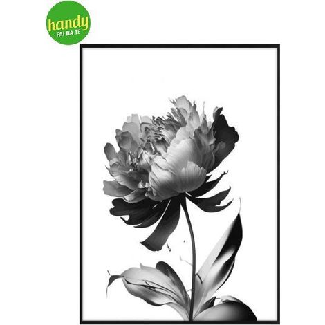 Quadro Lupia Optical 52 x 72 cm Black Peony