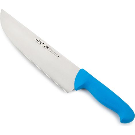 Metzgermesser Arcos Farbe - Prof 296023 aus rostfreiem Stahl Nitrum und mango ergonomisches Polypropylen in blau mit 25 cm langer Klinge, Vitrine (1/5)
