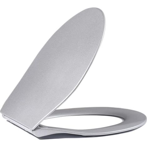 Accessories Button Silver WC Deckel ist langsam