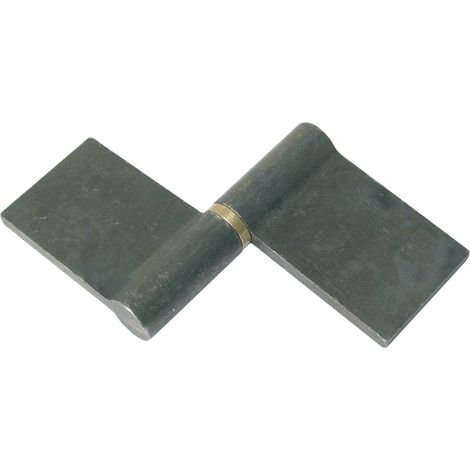 Paumelle de sécurité longue lame - FAURE Droite Acier bleu 120 (1/2)
