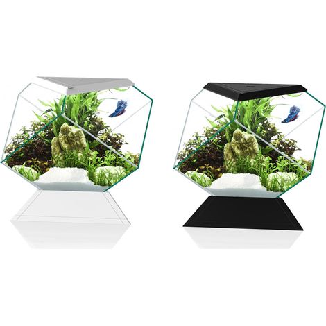 Askoll 280669 Nexus 5C Betta Life White (1/3)