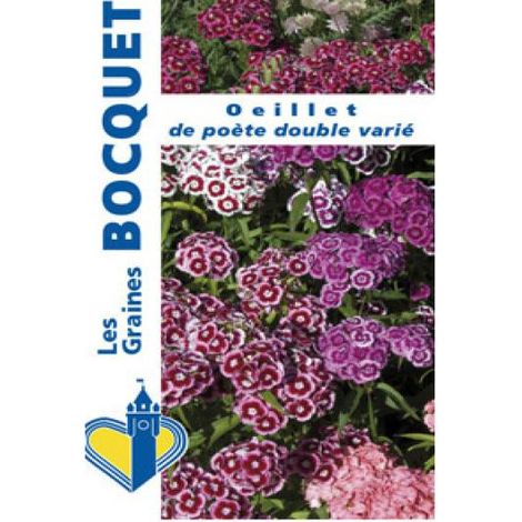 Œillet barbu double en mélange le sachet de 1550 graines (2g) (1/2)